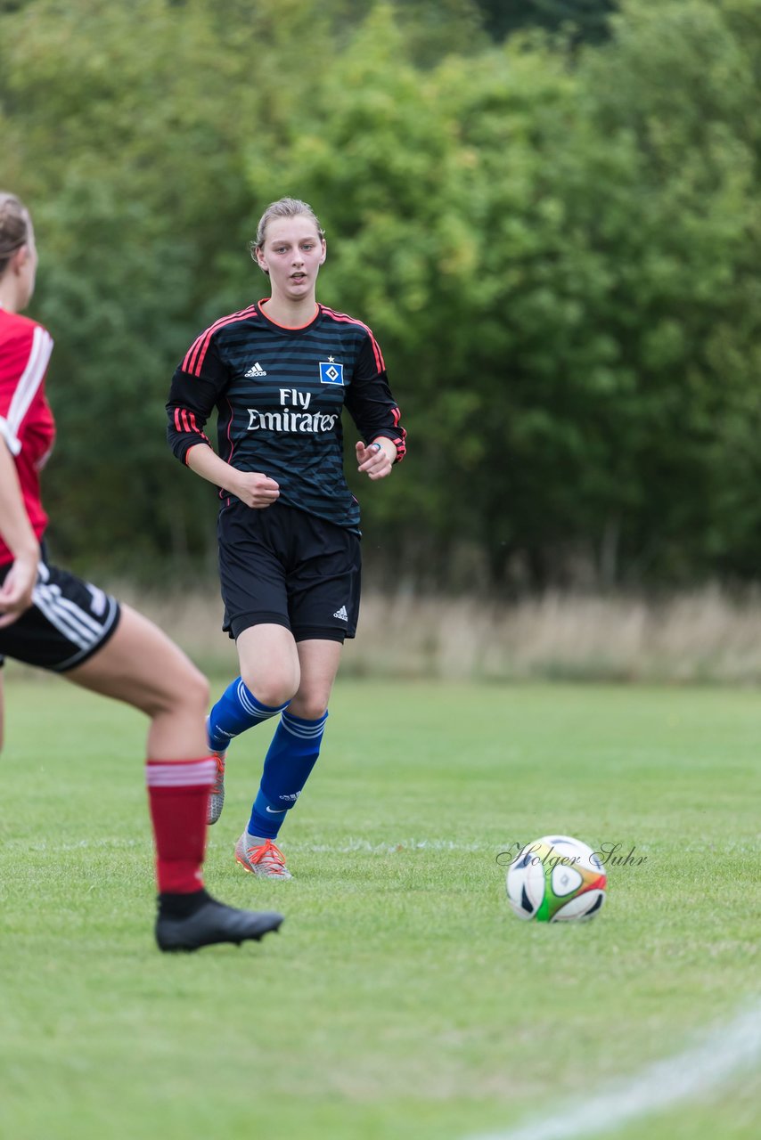 Bild 142 - Frauen SG NieBar - HSV 2 : Ergebnis: 4:3